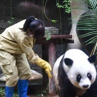 武汉市社保根证书是什么