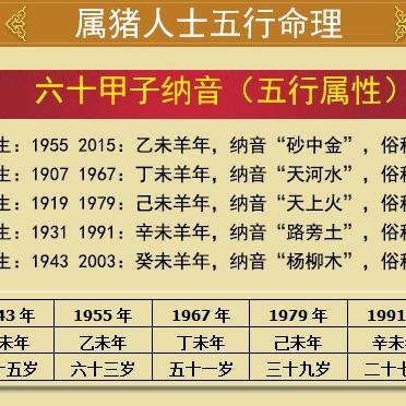 纳音五行口诀表(纳音五行的用法)
