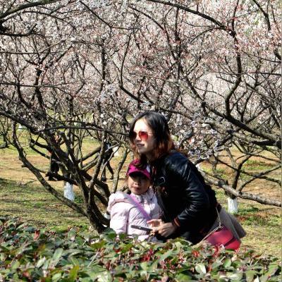 官方跨境产品查询流程图片的相关长尾关键词是那些