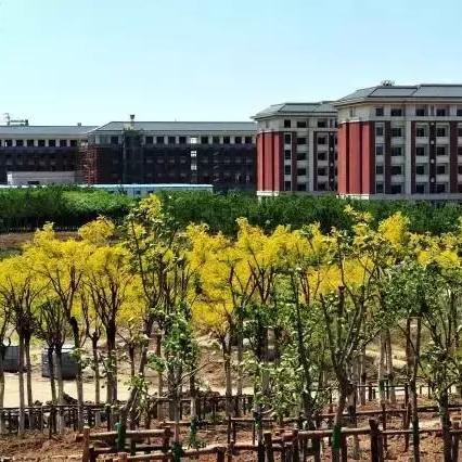 天津静海大学怎么样