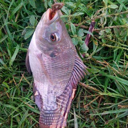 电影野战的长尾关键词有哪些