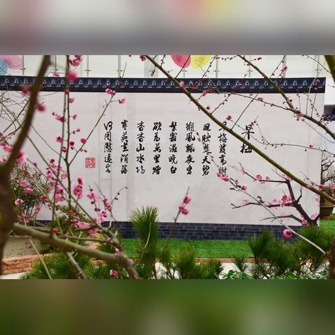 南通园博园长尾关键词有什么