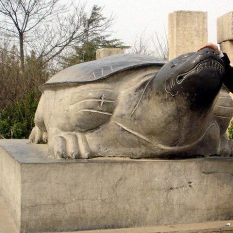 带弟弟在西安相关长尾关键词有哪些