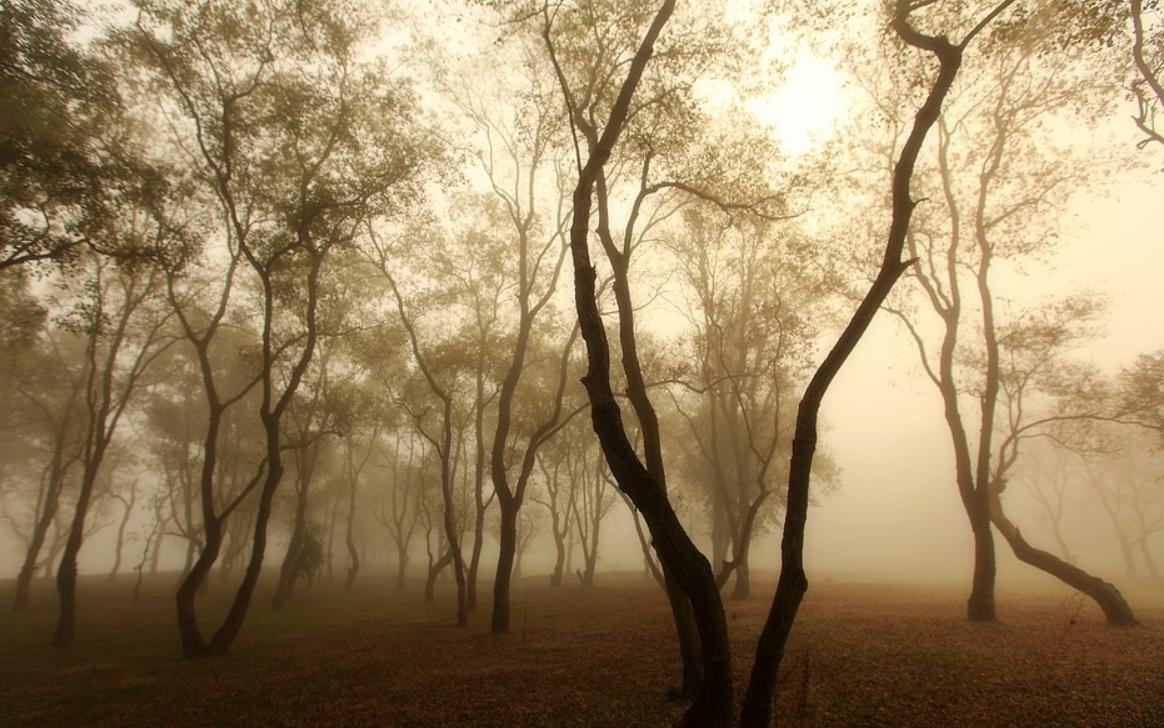 梦境的回响，解析梦见死去的亲人再次死去的深层含义