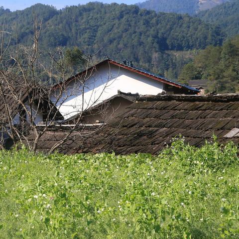 桂林市种植基地在哪里啊