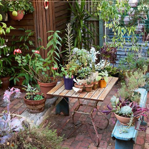 厦门有哪些旧货市场的相关长尾关键词有哪些