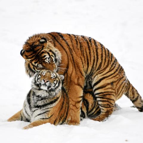 哈尔滨天气查询30天相关长尾关键词有哪些