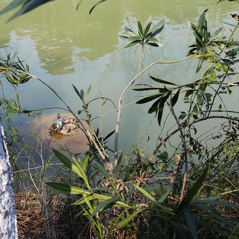 今天九江天气怎么样