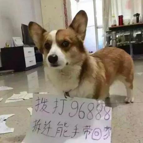 广州市牛屎糖是在什么区