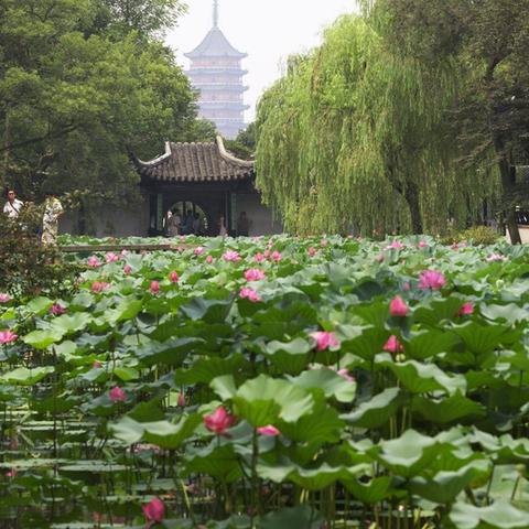 苏州市哪个园林好玩一点