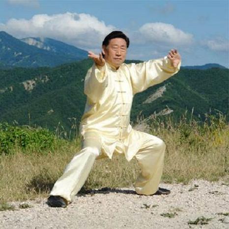 河南太极拳是什么派