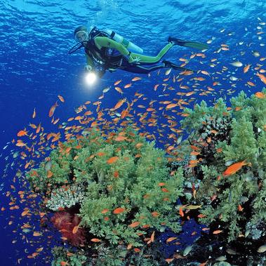 厦门海上运动学院好吗？