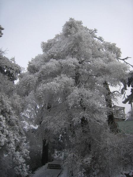 夏日奇景，解读梦中夏天下大雪的深层含义