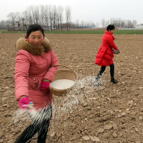 哈尔滨市白四村是哪个区