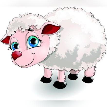 四个生肖今日运势如何看(四个生肖今日运势如何看的)