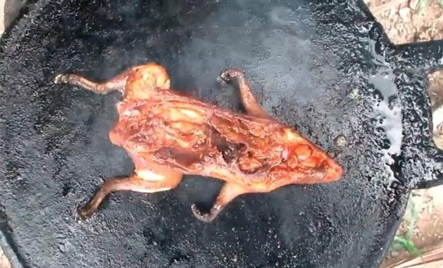 印度老板做什么美食（印度人真的往饭里加牛粪吗）
