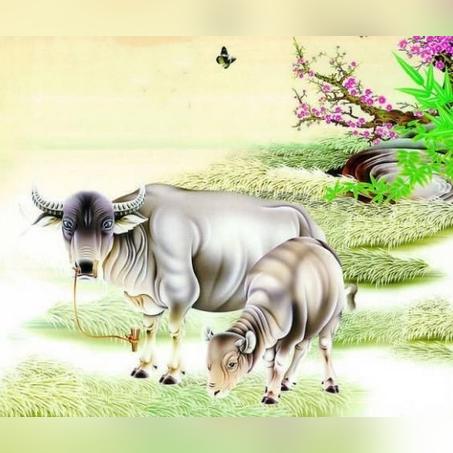 生肖鼠3月5日运势(鼠人3月运势)