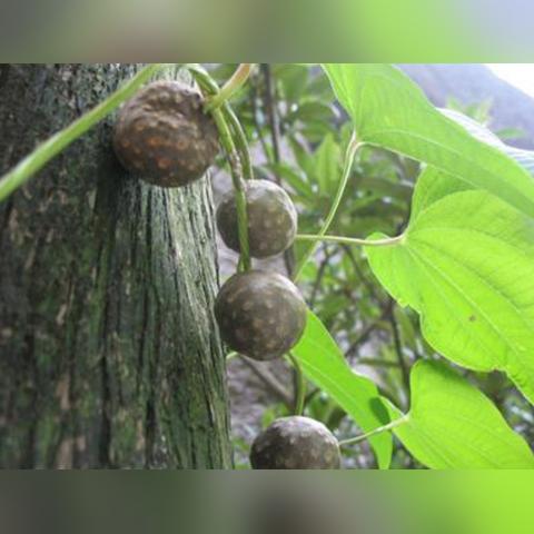 江西在福建哪个方向