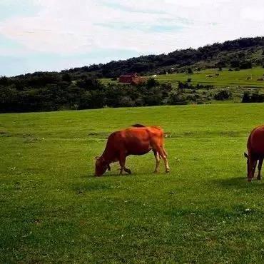 宁波云顶spa的长尾关键词有什么