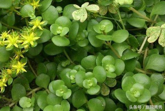 梦的解析，当手指头遭遇毒蛇的袭击——一场关于恐惧、自我保护与内心深处的探索