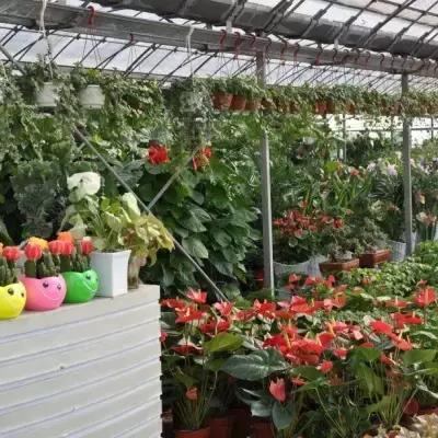 合肥字画群相关长尾关键词有哪些