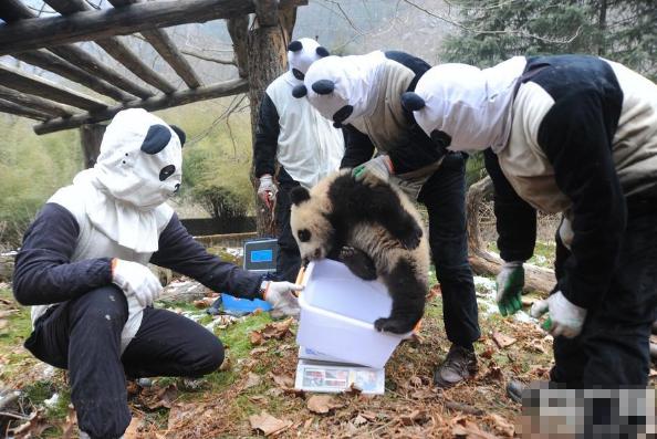 不上班的时候一般都在干什么？