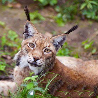 大连市第五郡怎么样
