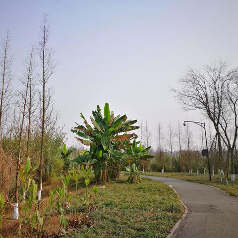 成都市城市春天房价的长尾关键词有什么