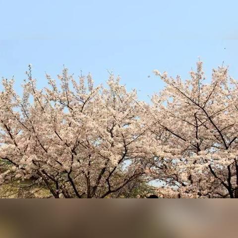 临沂市大山物流电话的长尾关键词有什么