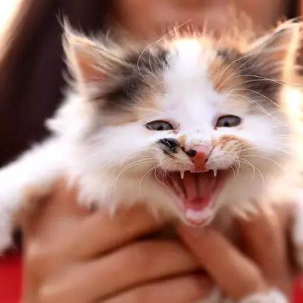 山东临沂市哪里女孩多啊