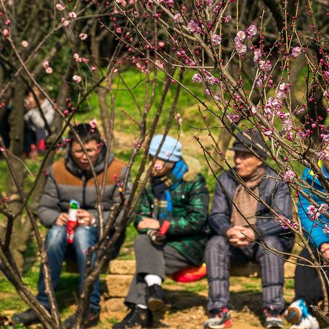 无锡市小桃园牌坊在哪里