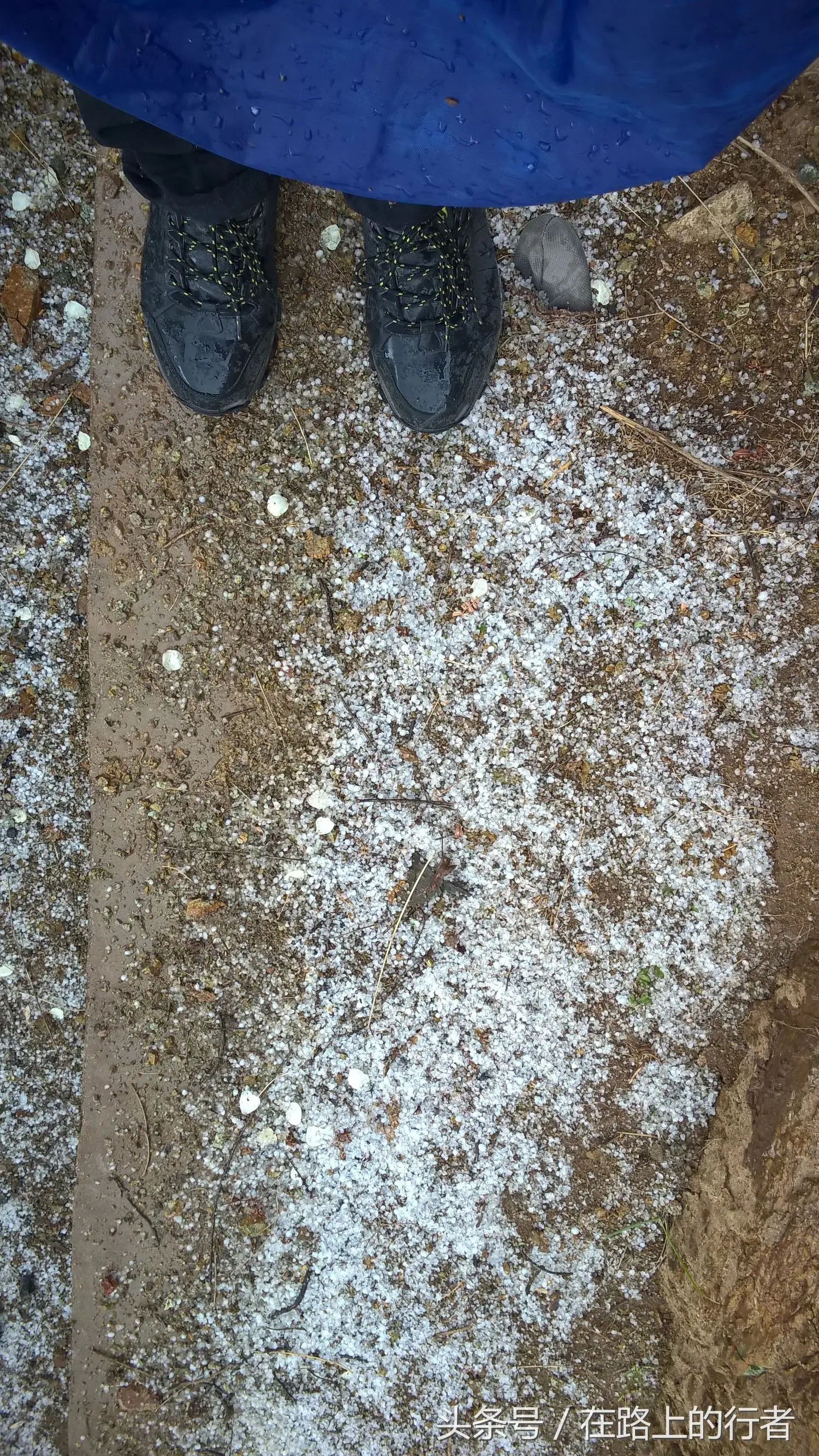 京东如何使用直通车 京东如何使用直通车功能