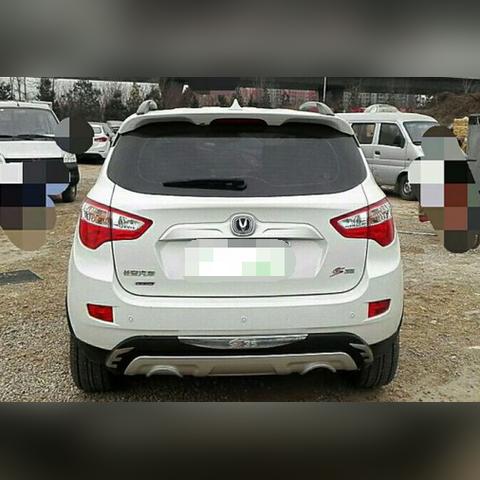 武汉市现在开什么花