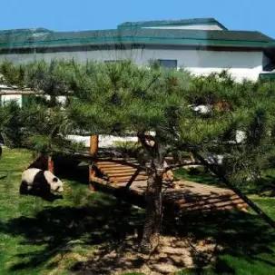 临沂市鸵鸟基地在哪里