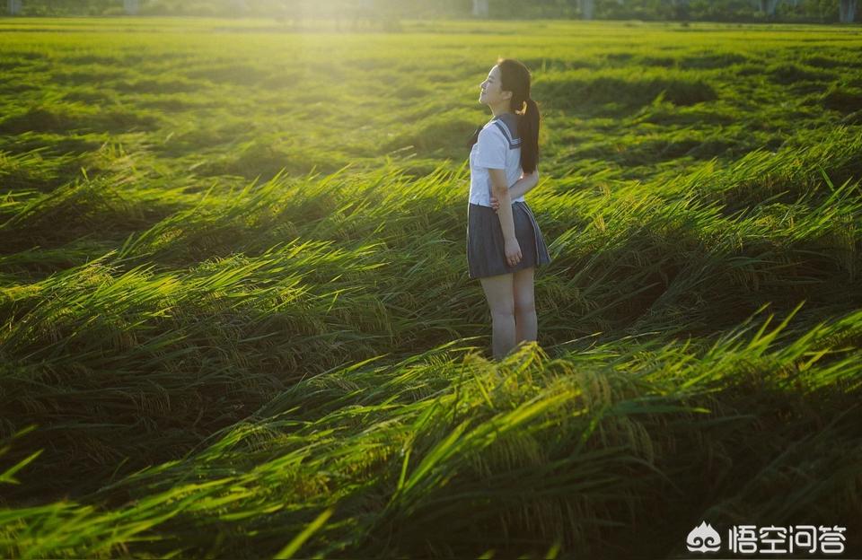 狗年宝宝起名姓贾怎么取(王熙凤和贾蓉有什么反应)