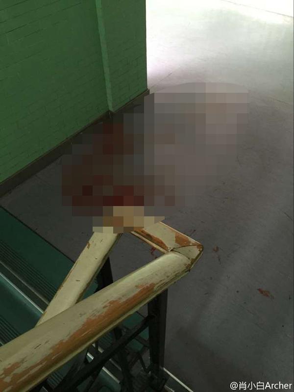 梦见别人打死一条狗,梦境背后的深层含义与解析 梦见别人打死一条狗,梦境背后的深层含义与解析