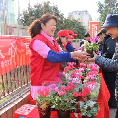 合肥瑶海家具怎么样相关长尾关键词有哪些
