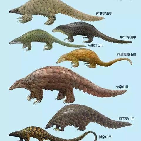 中国 印度 足球比赛的长尾关键词有哪些