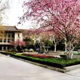 合肥悠悠球培训相关长尾关键词有哪些