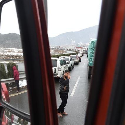 成都市场卖狗有哪些品种