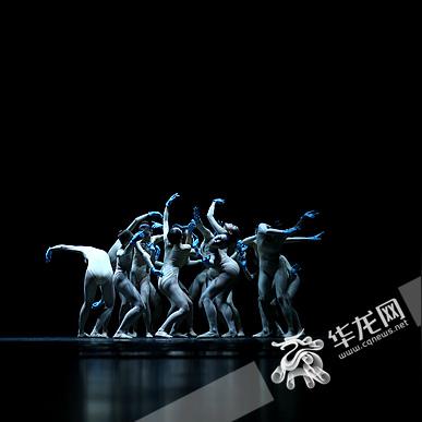 重庆大学编导生录取的长尾关键词有哪些