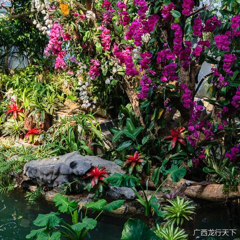 南宁市竹小大道哪个区溪