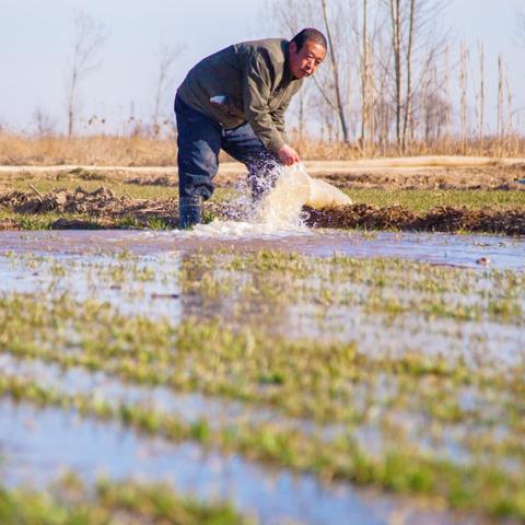 石家庄市农业银行在哪里