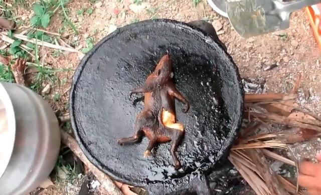 烧烤要做什么美食（做烧烤需要干嘛）