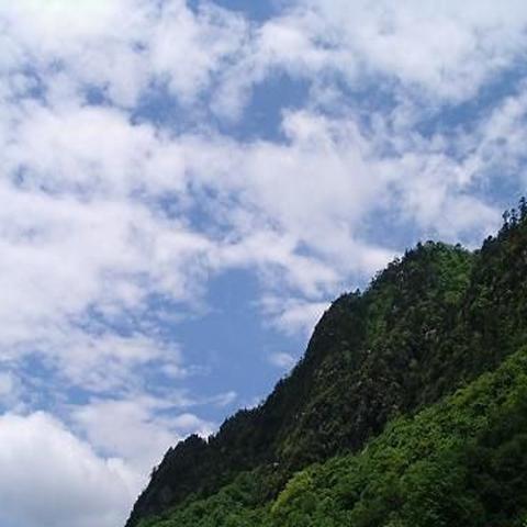 成都市最高楼怎么不修了