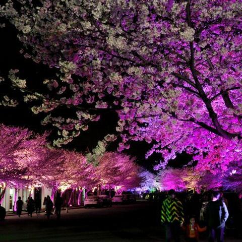 无锡市一角夜景在哪里