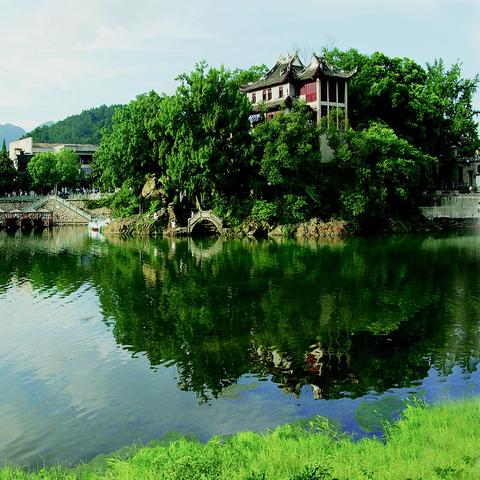 为什么说宁波市奉化市