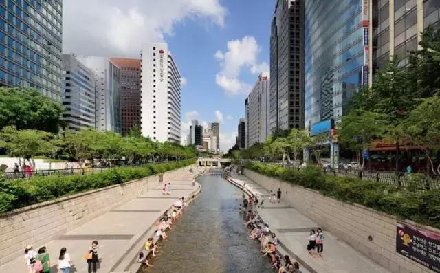 梦回水岸，捕捉大鱼与虾的奇幻之旅——解密半干河床的隐喻