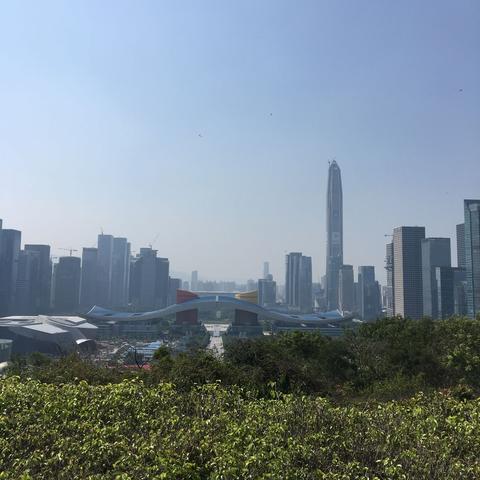 深圳市连花山在哪个区啊