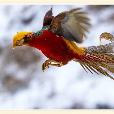 厦门平安银行总部的相关长尾关键词有哪些